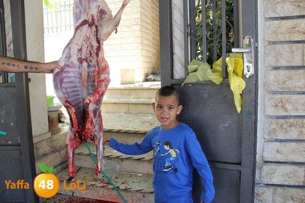 dabe7 ludj31 (52).JPG